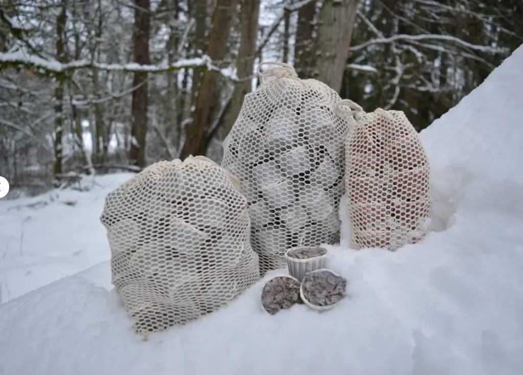 Screenshot 2026-01-18 175342.webp