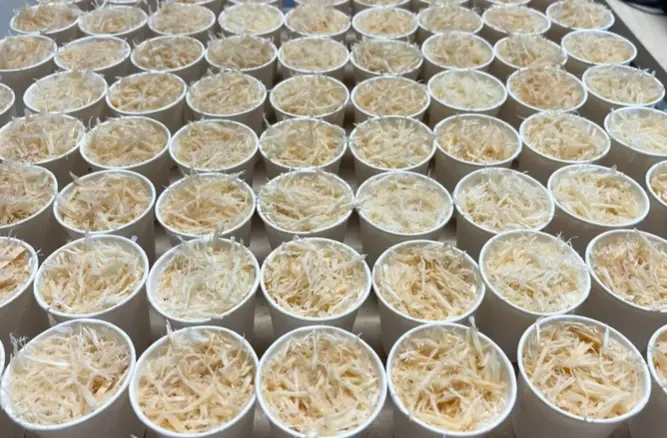 Screenshot 2026-01-18 175446.webp