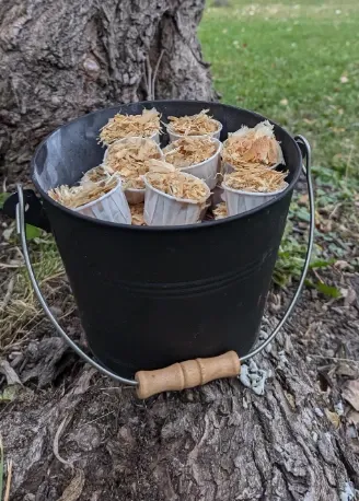 Fire Starters (12-Pack)